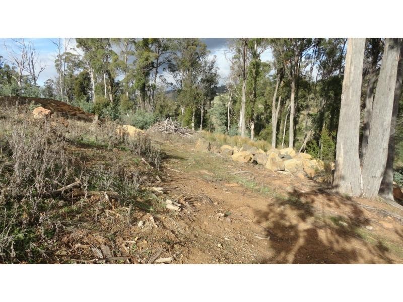 L17 Edzell Court, Riverside Views Estate, Riverside TAS 7250