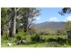 258 Hop Valley Road, Blackwood Creek TAS 7301