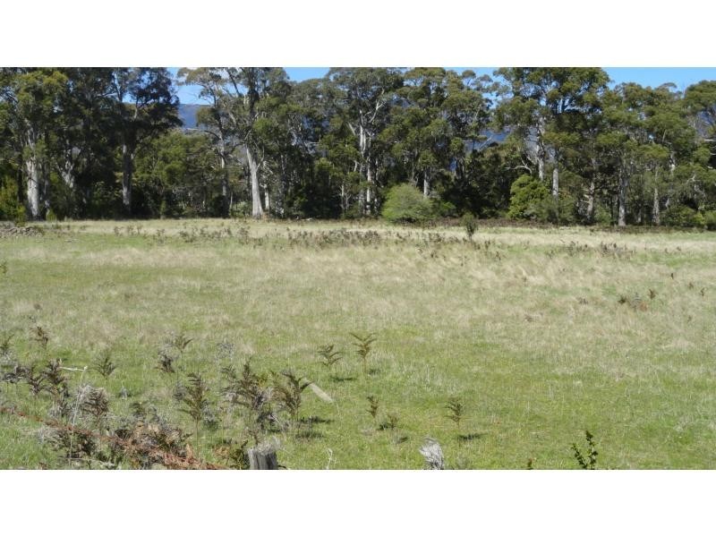 258 Hop Valley Road, Blackwood Creek TAS 7301