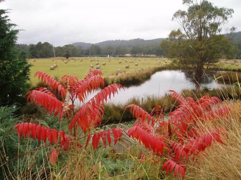 1688 Upper Esk Road, Upper Esk TAS 7214