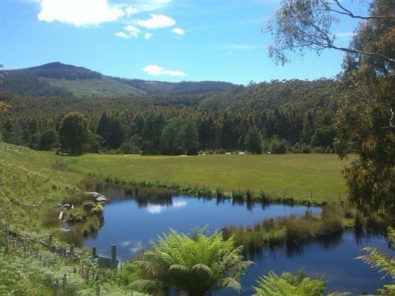 1688 Upper Esk Road, Upper Esk TAS 7214