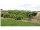 869 Bishopsbourne Road, Bishopsbourne TAS 7301