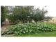 869 Bishopsbourne Road, Bishopsbourne TAS 7301
