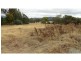 70 Jane Street, Bracknell TAS 7302