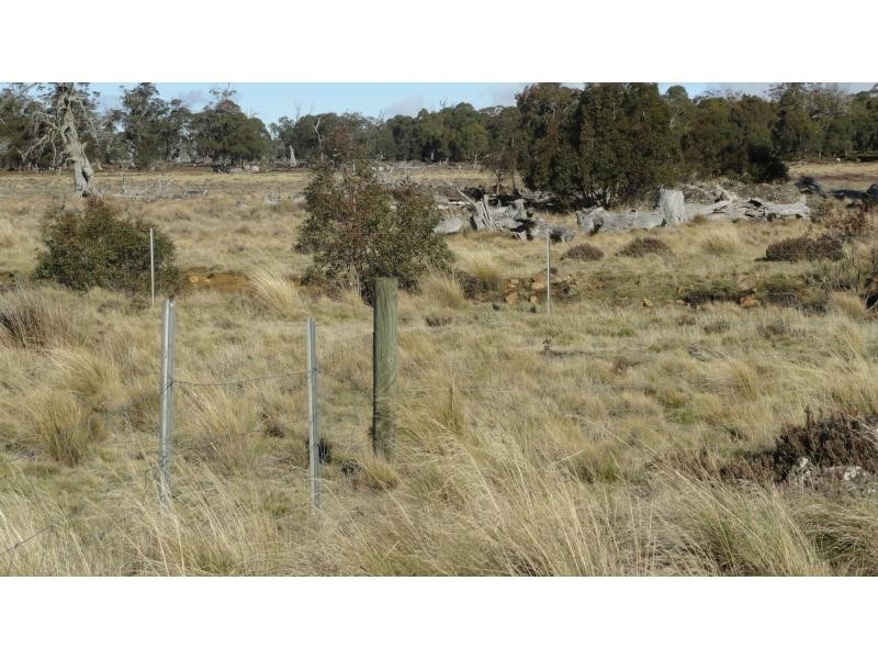 73 Willburville Street, Arthurs Lake TAS 7030