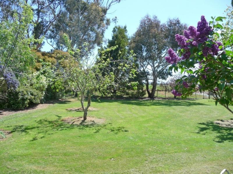 163 Elphinstone Road, Cressy TAS 7302