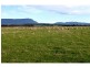 163 Elphinstone Road, Cressy TAS 7302