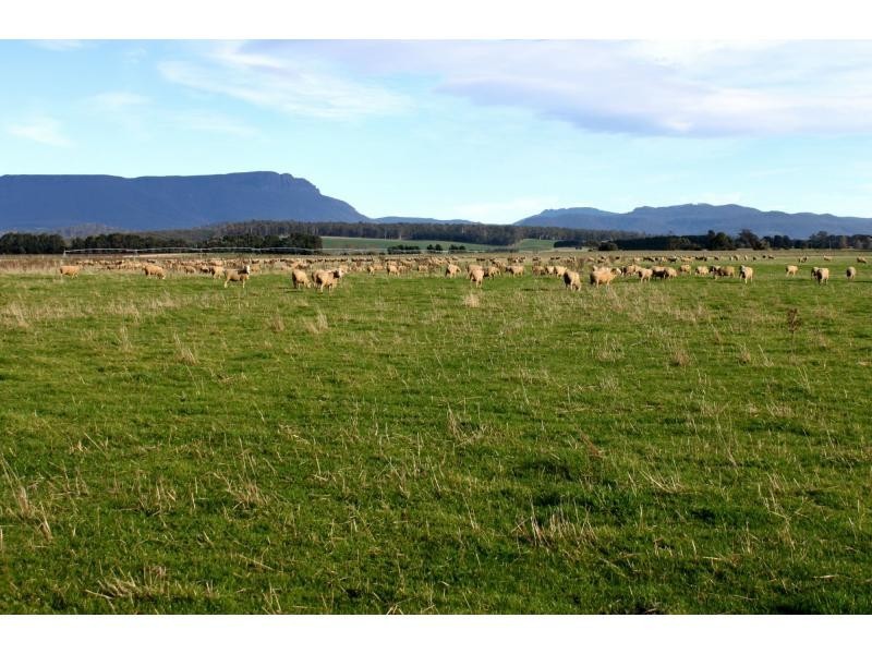 163 Elphinstone Road, Cressy TAS 7302