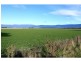 163 Elphinstone Road, Cressy TAS 7302