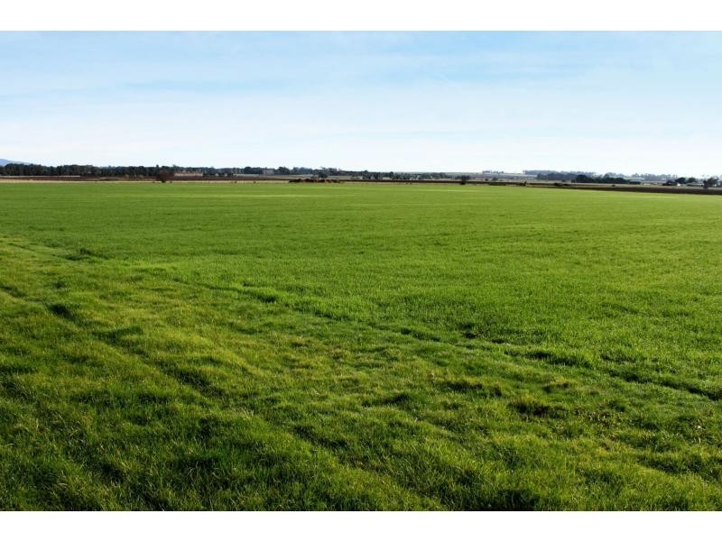 163 Elphinstone Road, Cressy TAS 7302