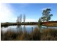 163 Elphinstone Road, Cressy TAS 7302