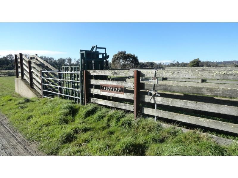 1123 Liffey Road, Liffey TAS 7301