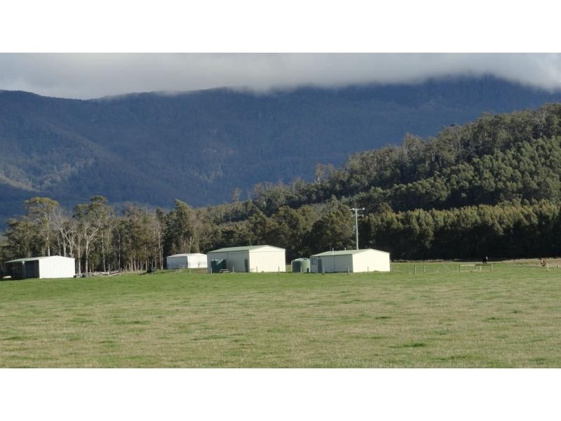 1123 Liffey Road, Liffey TAS 7301