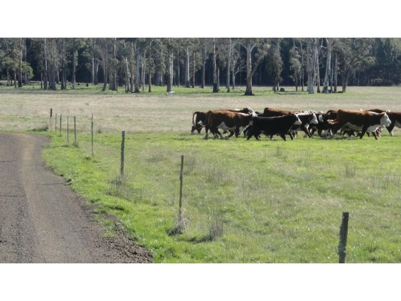 1123 Liffey Road, Liffey TAS 7301