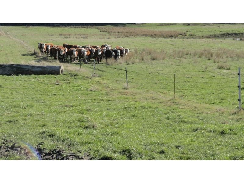 1123 Liffey Road, Liffey TAS 7301