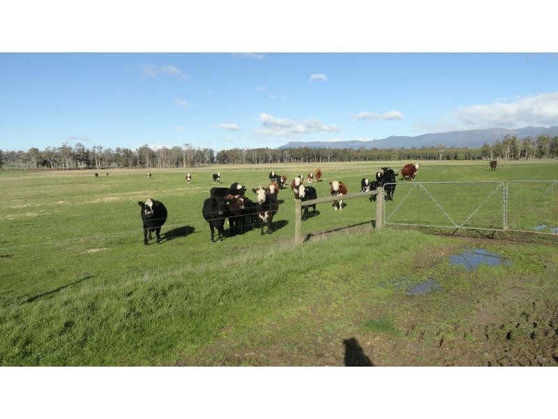1123 Liffey Road, Liffey TAS 7301