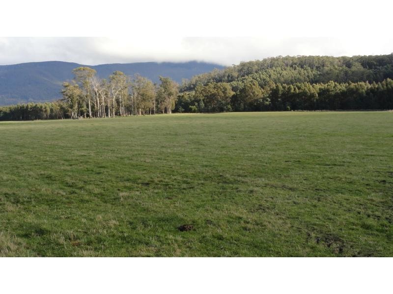 1123 Liffey Road, Liffey TAS 7301