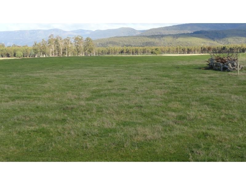 1123 Liffey Road, Liffey TAS 7301