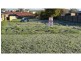26 Scott Street, Hadspen TAS 7290