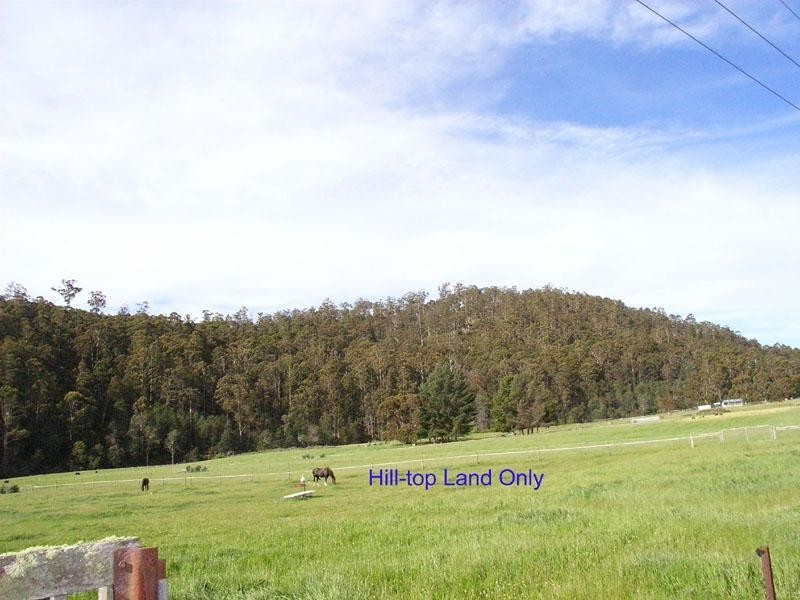 864 Abbotts Rd, Nicholls Rivulet TAS 7112