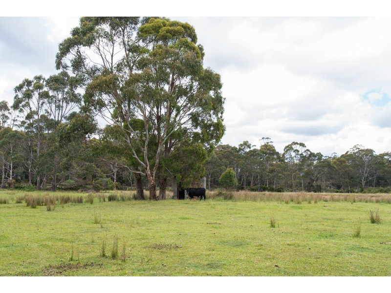 271 Pipers River Rd, Turners Marsh TAS 7267