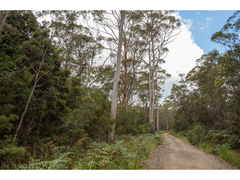 271 Pipers River Rd, Turners Marsh TAS 7267