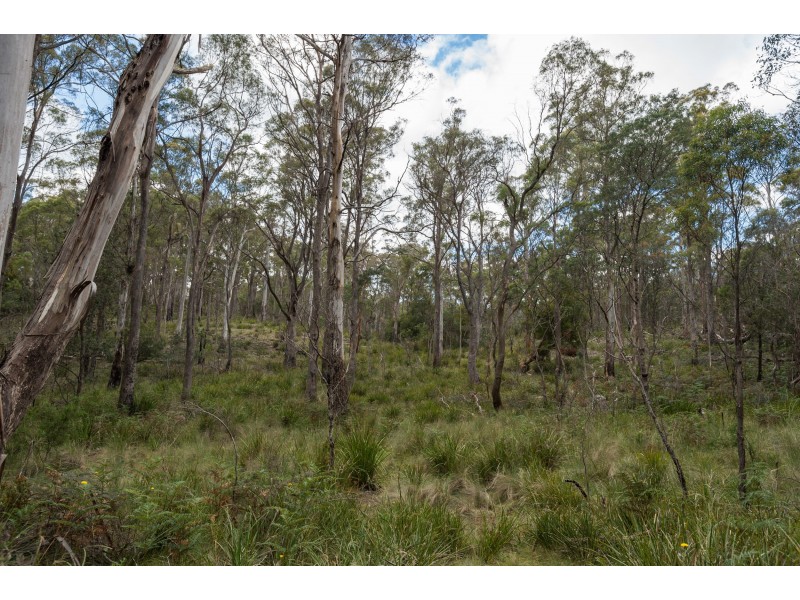 271 Pipers River Rd, Turners Marsh TAS 7267