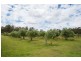 271 Pipers River Rd, Turners Marsh TAS 7267