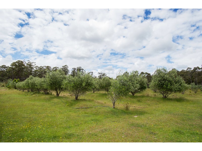 271 Pipers River Rd, Turners Marsh TAS 7267