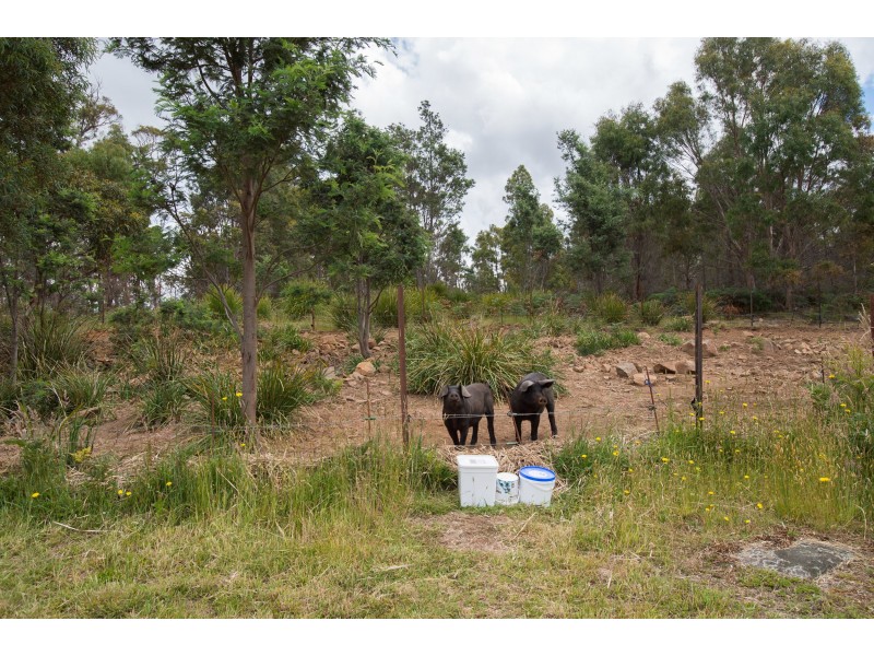 271 Pipers River Rd, Turners Marsh TAS 7267
