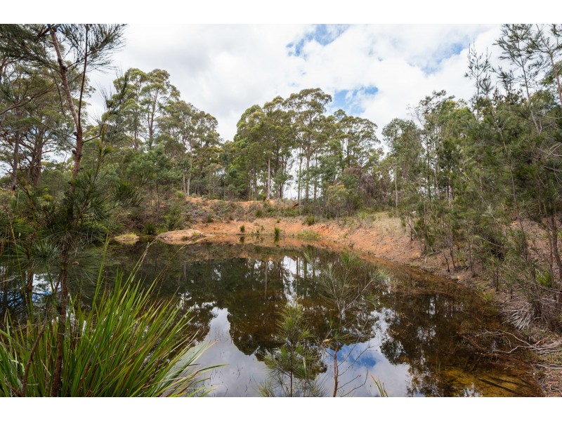 271 Pipers River Rd, Turners Marsh TAS 7267