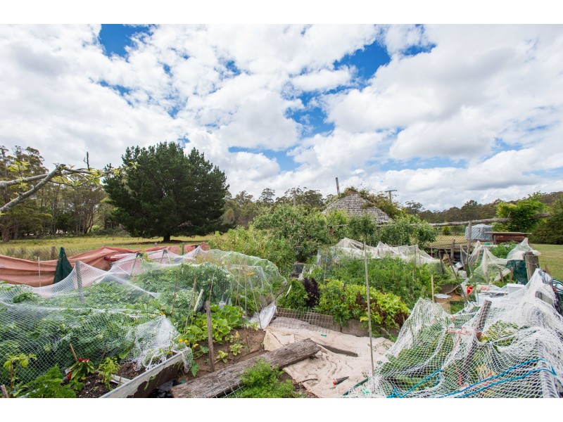 271 Pipers River Rd, Turners Marsh TAS 7267