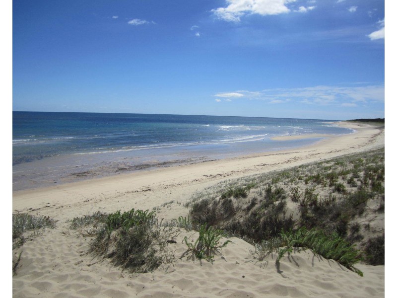 2 Higgins St, Beechford TAS 7252