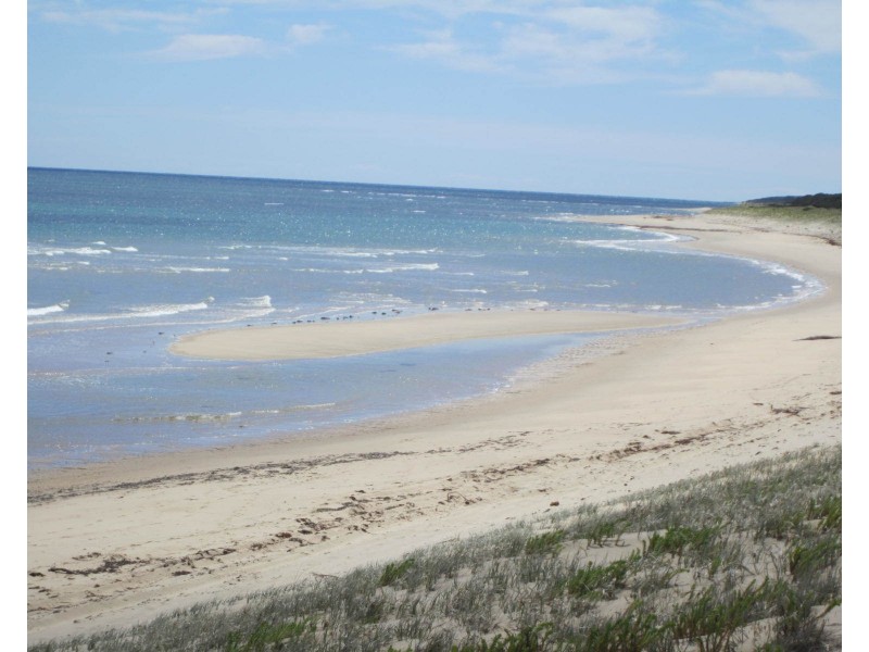 2 Higgins St, Beechford TAS 7252