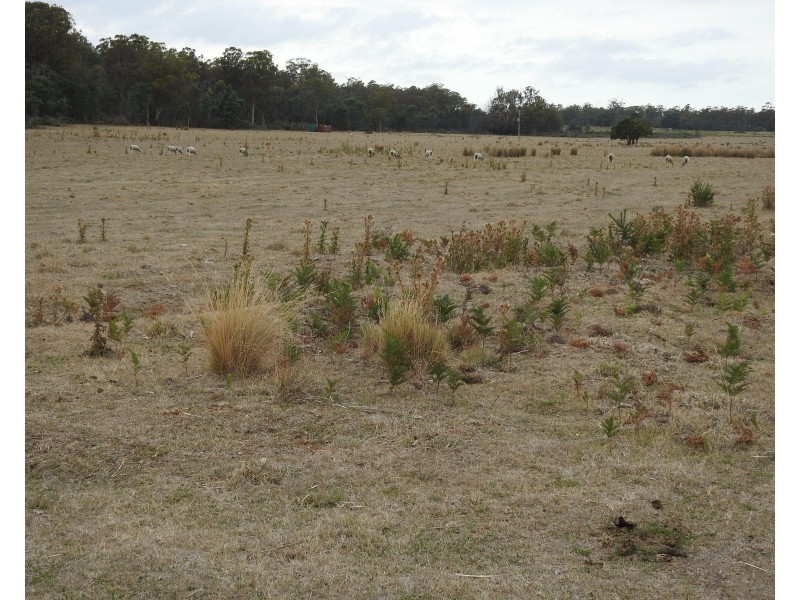 1422 Illawarra Rd, Carrick TAS 7291