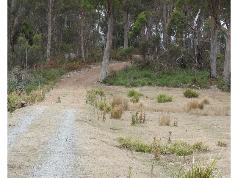 1422 Illawarra Rd, Carrick TAS 7291