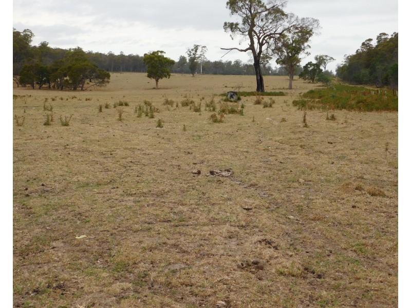 1422 Illawarra Rd, Carrick TAS 7291