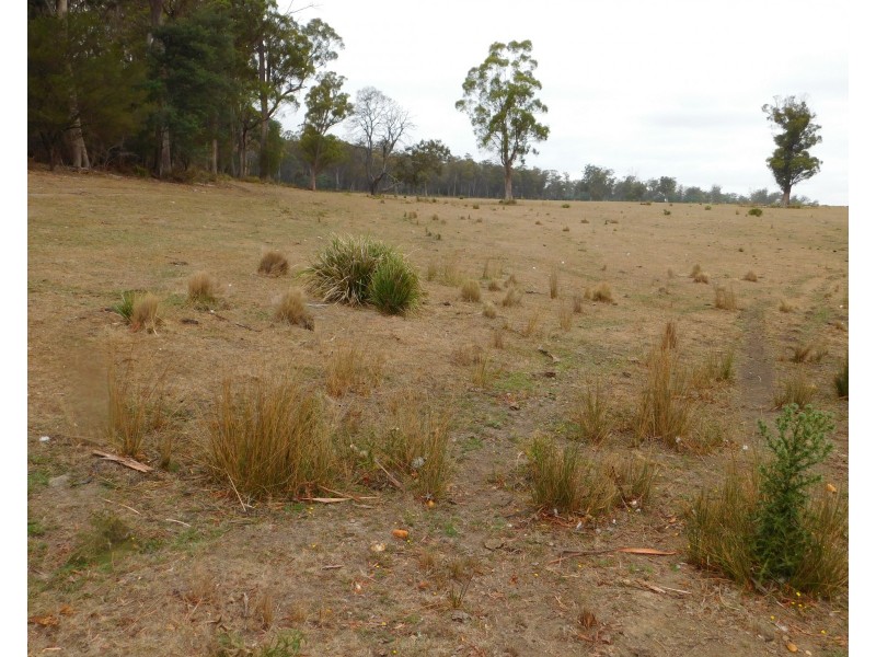 1422 Illawarra Rd, Carrick TAS 7291