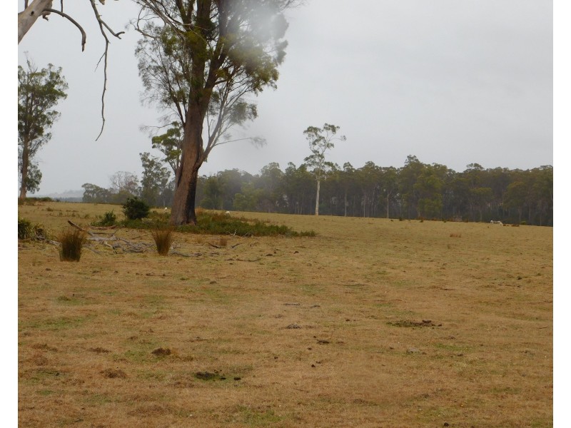 1422 Illawarra Rd, Carrick TAS 7291