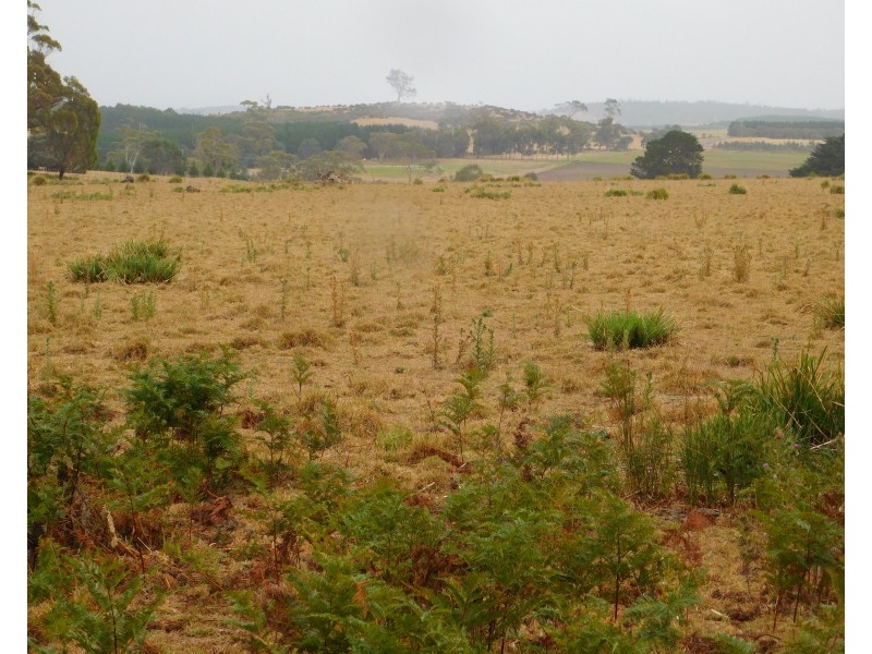 1422 Illawarra Rd, Carrick TAS 7291