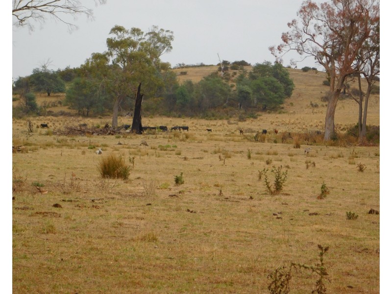 1422 Illawarra Rd, Carrick TAS 7291