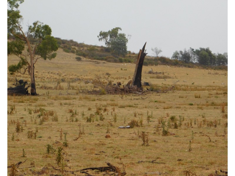 1422 Illawarra Rd, Carrick TAS 7291