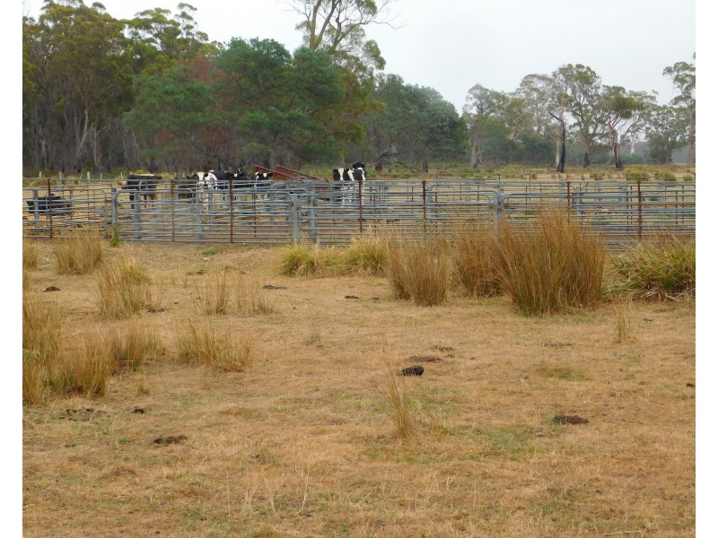 1422 Illawarra Rd, Carrick TAS 7291