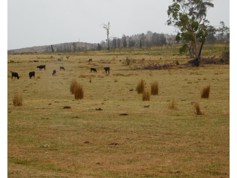 1422 Illawarra Rd, Carrick TAS 7291