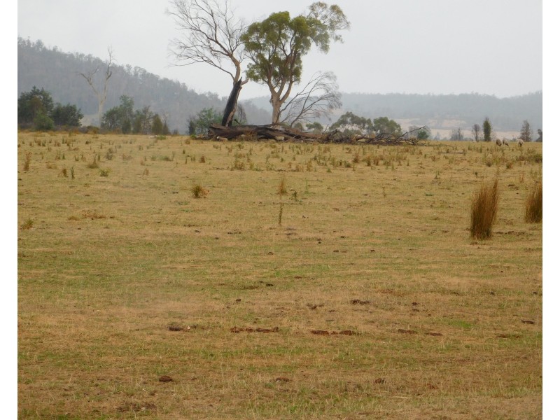 1422 Illawarra Rd, Carrick TAS 7291