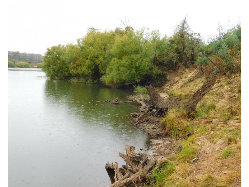 1422 Illawarra Rd, Carrick TAS 7291