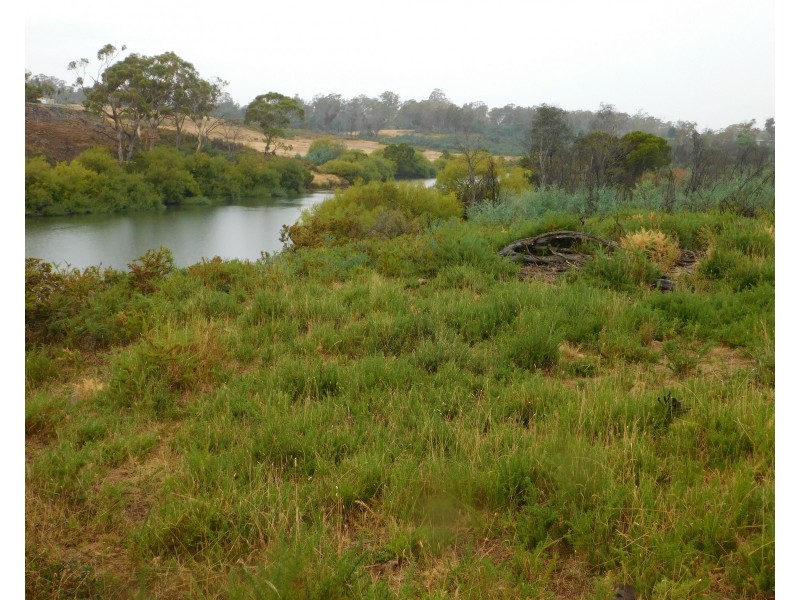 1422 Illawarra Rd, Carrick TAS 7291