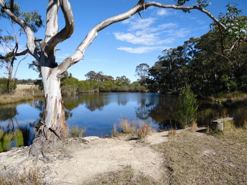 566 Border Road, Dalcouth, Stanthorpe QLD 4380