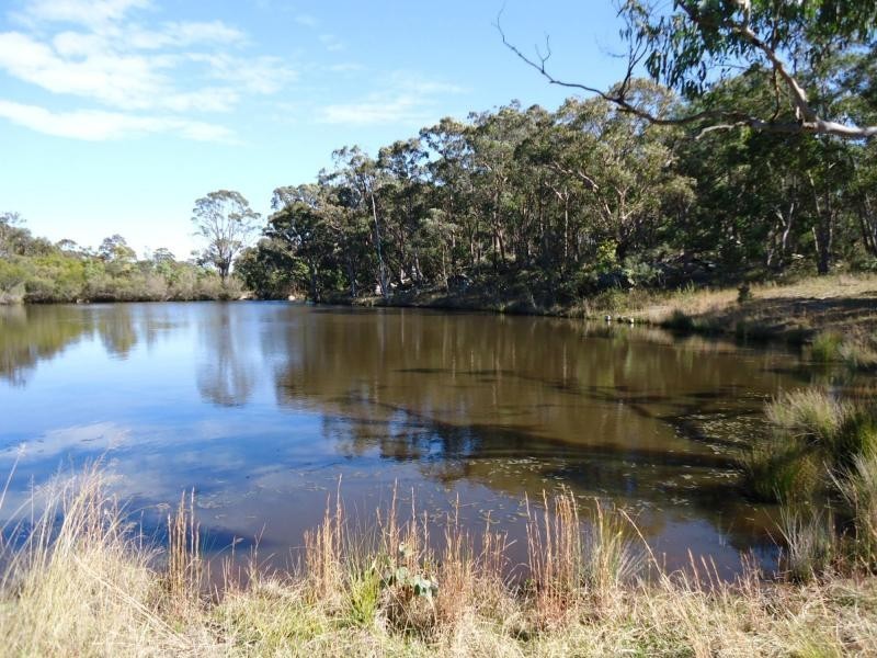 566 Border Road, Dalcouth, Stanthorpe QLD 4380