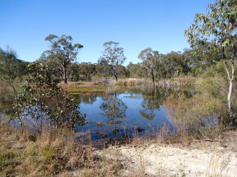 566 Border Road, Dalcouth, Stanthorpe QLD 4380